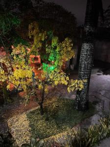 Suíte 1 - Village Capixaba