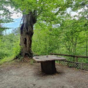 Le sorgenti - Bungalow in sasso