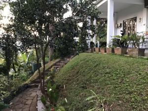Lavender Hills Home Stay