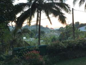 Lavender Hills Home Stay