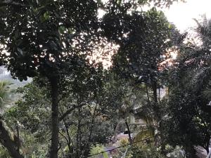 Lavender Hills Home Stay