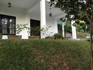 Lavender Hills Home Stay