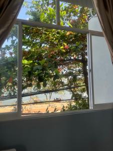 Vung Tau Villa mini sát biển - Gitico Homestay