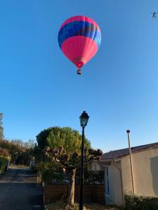 Au cœur des vignes
