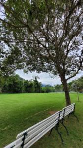 Apto Casinha de Boneca no Verde