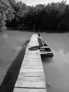 Raizes da Terra - Ponta do Corumbau