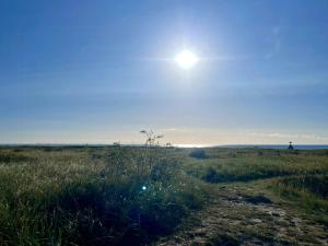 Bjælkehus Ved Flovt Strand Med Sjæl Og Charme