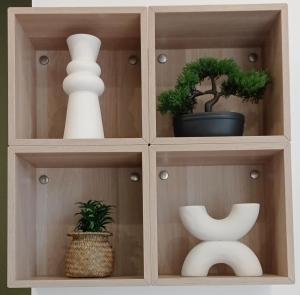 Studio "Le Nature" au design cozy et apaisant