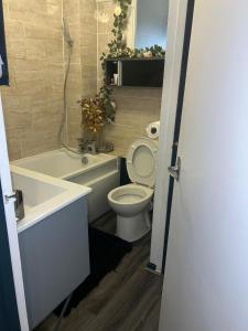 Charming Flat in North London