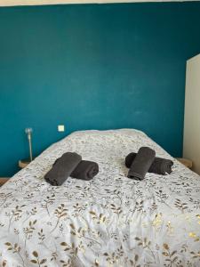 LE JULA - APPARTEMENT T2 PROCHE CENTRE VILLE - Parking privé