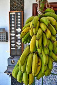 Finca Für 22 Personen In Alcala