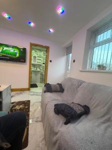 Sindhu Luxury Bungalow