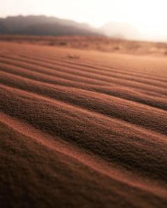 Wadi Rum Thamer