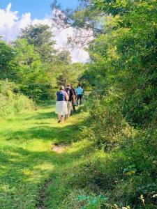 Moonshade Handapanagala