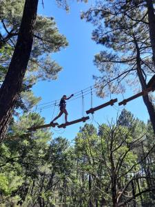 Villas Family Home Ventoux : photos des chambres