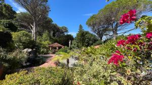 Unique Hout Bay House