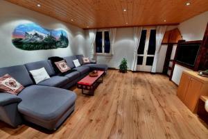 Apartment Bergblick 5-Personen Ferienwohnung Spillstatthus