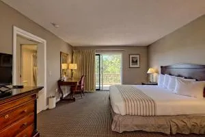 Cozy 1-Bedroom King Room in Clayton GA with Mountain Views- KW 307 - Whetstone