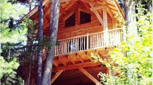 Maisons d'hotes Cabanes des Pins Sylvestres Boreon : photos des chambres
