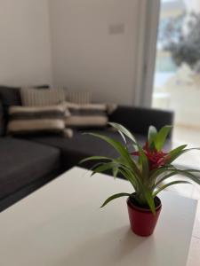 Mythical Sands Resort, Protaras, Choose Joy Apt