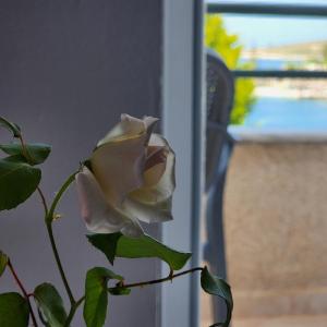 Amelies Apartments & Beach Saranda