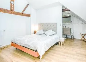 Suite luxe, spacieux avec sauna et extérieur - Le Mesnil-sur-Oger