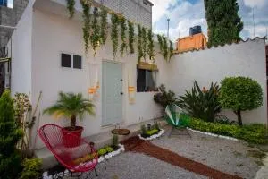 NUEVA Bamboo LA TEPOZTECA - La Calera