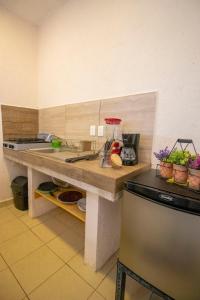 NUEVA Bamboo LA TEPOZTECA