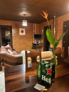 Casa de campo com cachoeira no quintal