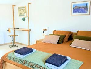 Appartements Le Joannis - Tranquillite en centre historique : photos des chambres