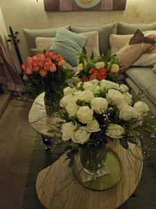 Séjour au cœur de la medina