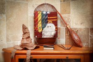 HARRY POTTER - Gameroom- Expérience Magique à Carcassonne