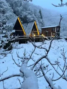 Mariposa Bungalov - 艾德亚耶拉西