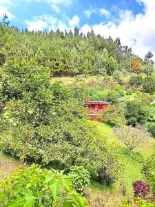 Tesorito House en las Montañas del Quindío - Pavas
