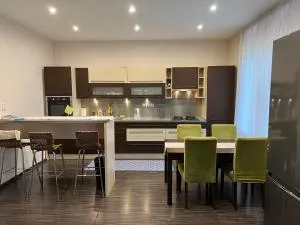 Family House in Spa Town Podebrady with Garden - Křinec