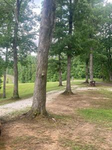 The Willow, Secluded and Cozy country cabin