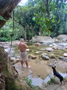 Casa com cachoeira no quintal