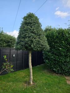 Double room, Cosy, gated drive, hot tub,