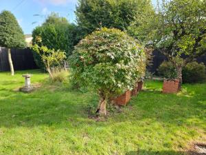 Double room, Cosy, gated drive, hot tub,