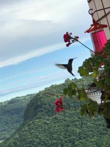 Vista sem igual do Vale do Quilombo