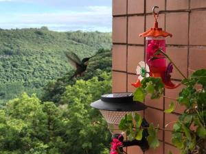 Vista sem igual do Vale do Quilombo