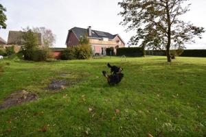 Ferienwohnung Beagle