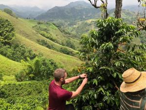 Coffee Tour, Colombia Aranzazu Caldas- Andean Motmot coffee