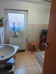 Apart Lachmöwe