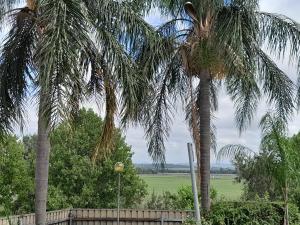 Muswellbrook Northside Bed & Breakfast