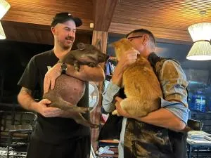 The Little Zoo - Nguyen Shack - Lý Hòa