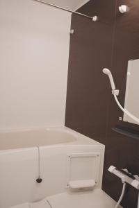 Asakusa,,Lift,1 bedroom,501-701-1002
