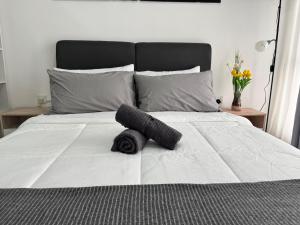 Alinea Daijoubu Stay 4 pax Sek 14 Shah Alam