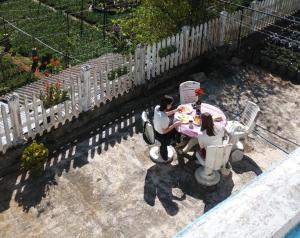 Vibe way (Hostel & Market farm)