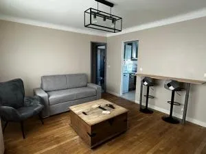 Charmante maison de ville - 图罗特